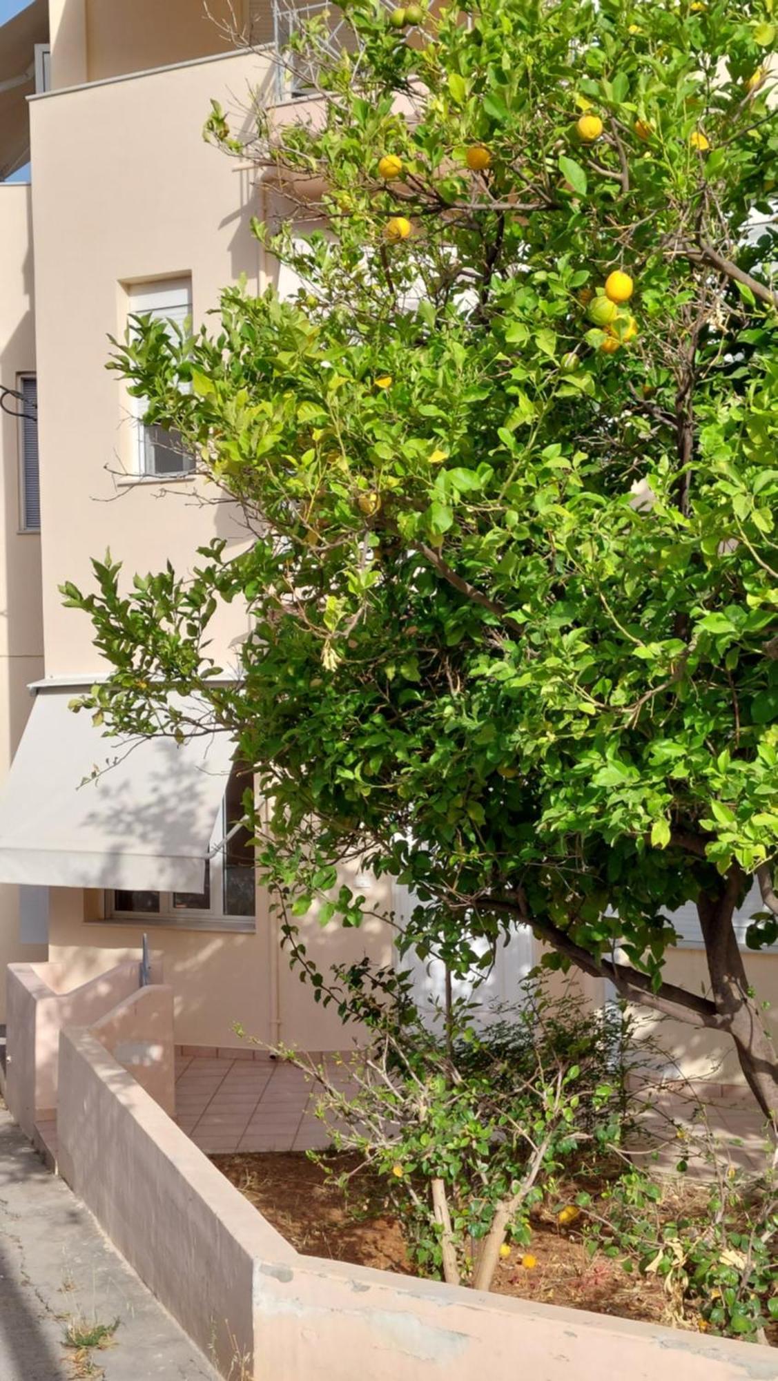 Holiday home Sunbeam Retreat Chania (Crete)